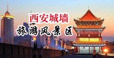 几把插插骚逼好爽视频中国陕西-西安城墙旅游风景区